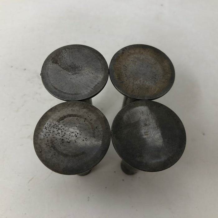 37373 Tecumseh Valve Lifters (x4)