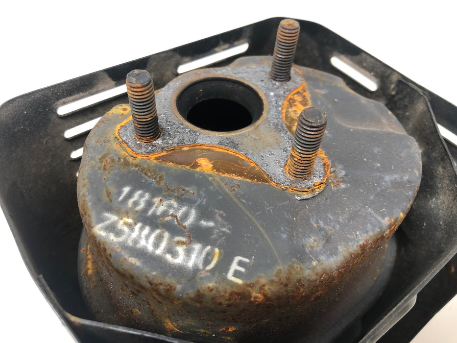 379531 DR Power Muffler & Guard