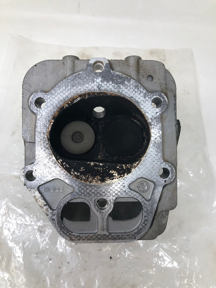 37389 Tecumseh Cylinder Head & Rocker Arm Cover