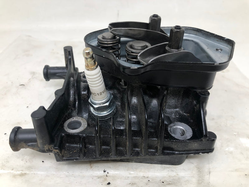 840065 8S Briggs & Stratton Cylinder Head Assembly + Push Rods