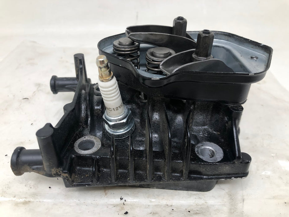 840065 8S Briggs & Stratton Cylinder Head Assembly + Push Rods