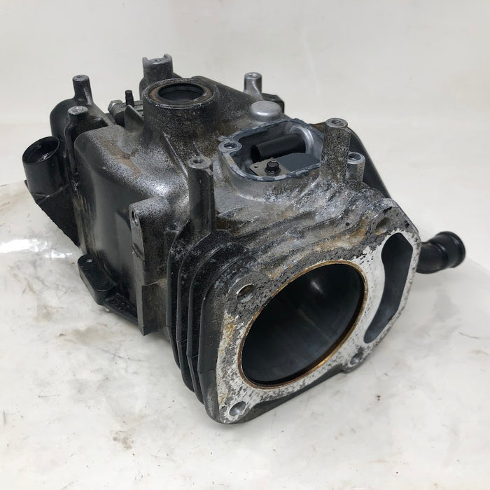 596752 Briggs & Stratton Cylinder Assembly