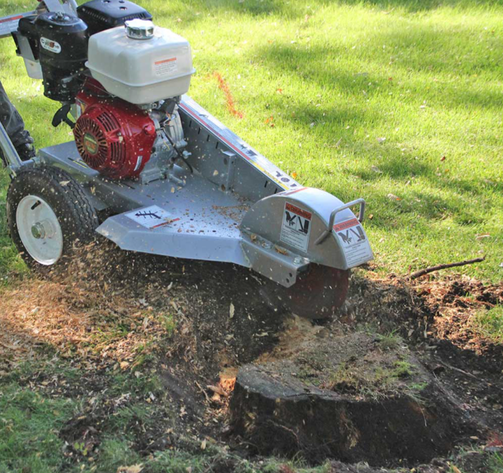 Stump Grinder (Tow Behind) Rental