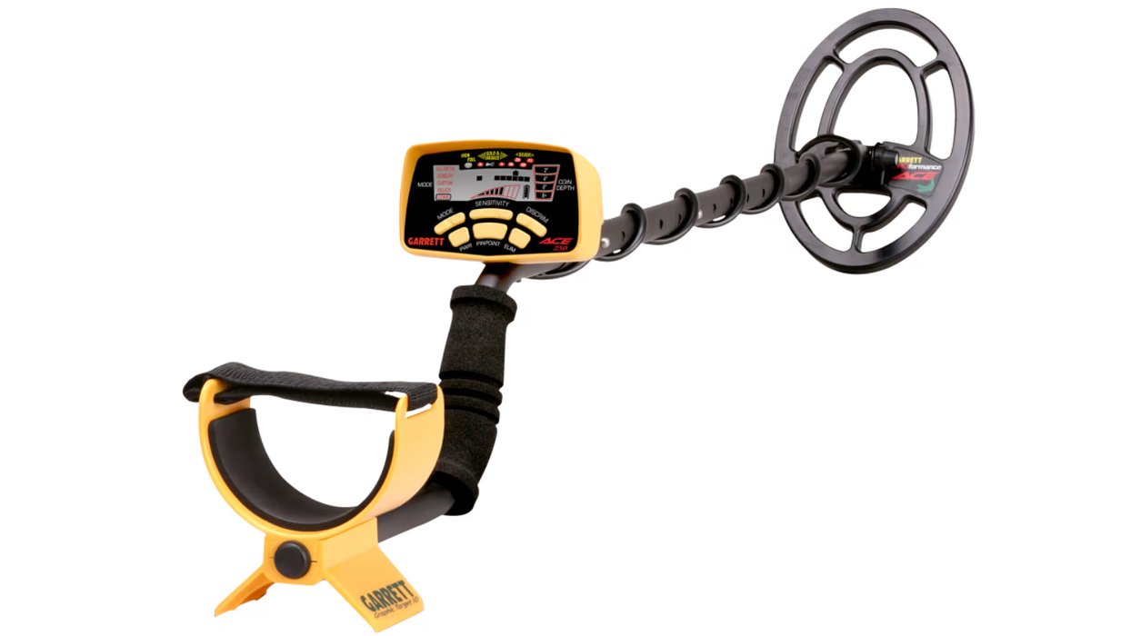 Metal Detector Rental