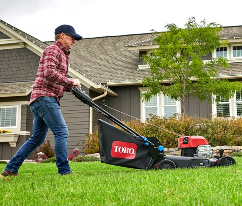 Mower, Walk Behind (21") Rental