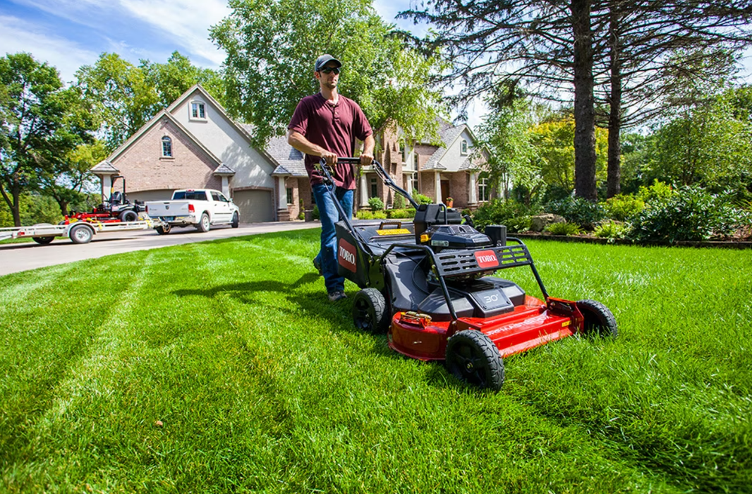 Mower, Walk Behind (30") Rental