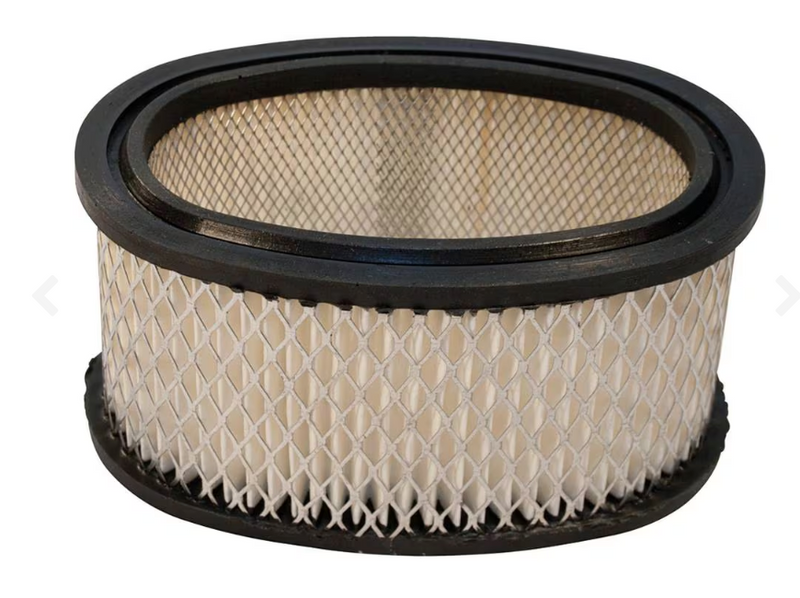 100-198 Stens Air Filter Briggs