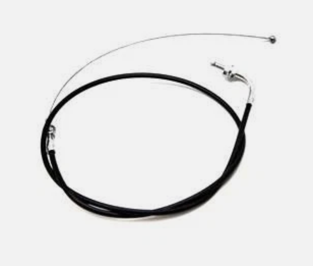 31245 Ardisam Reverse Cable