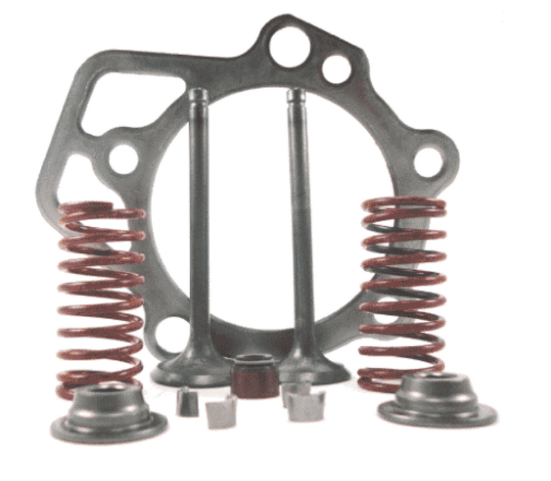 0D24890ESV Generac Retainer Valve Kit