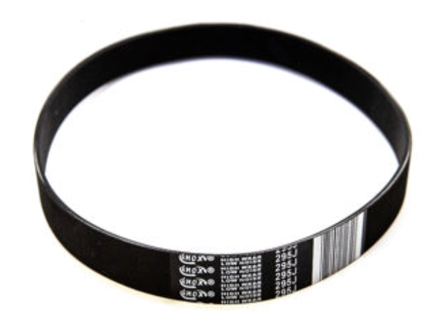 31158 Ardisam BELT POLY-V 295J10 MM