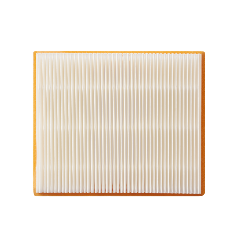 AVF0900 EGO Wet/Dry Vacuum Flat Filter