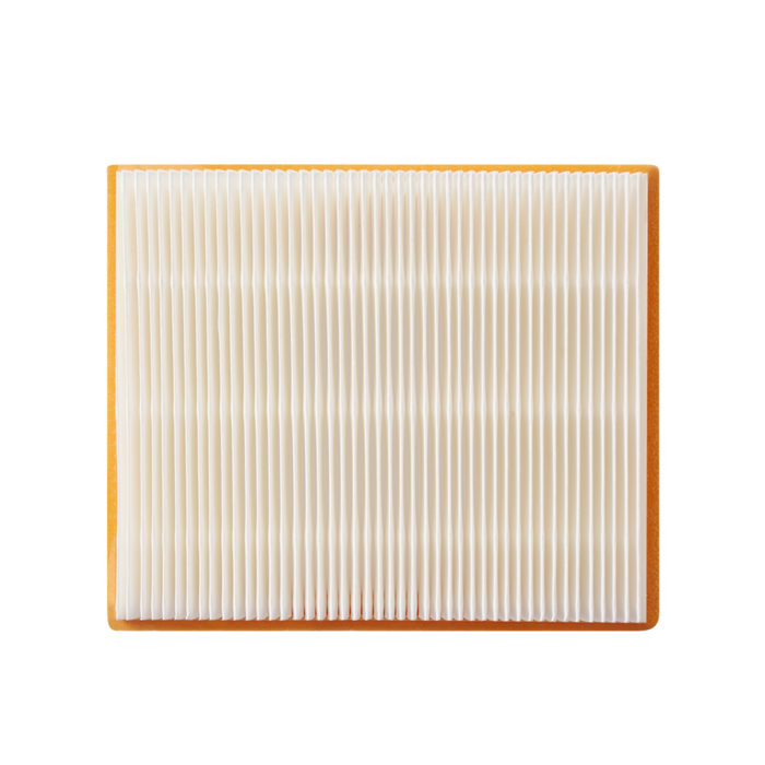 AVF0900 EGO Wet/Dry Vacuum Flat Filter