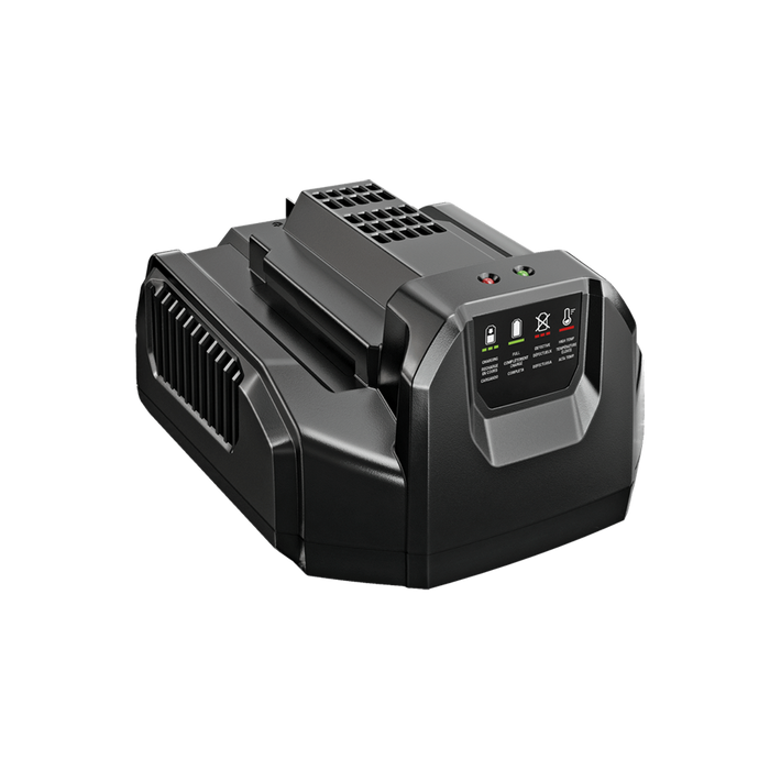 CH2100 EGO 56V 210W Charger