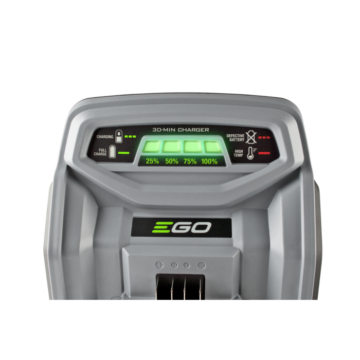 CH5500 EGO 56V 550W Rapid Charger