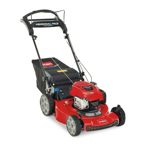 22" Recycler Briggs & Stratton 7.25hp RWD, PP