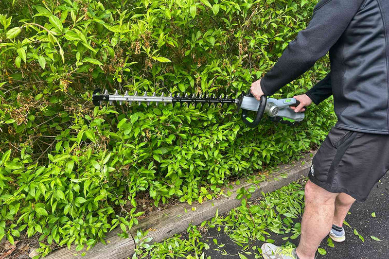 Hedge Trimmer (Handheld, Battery) Rental